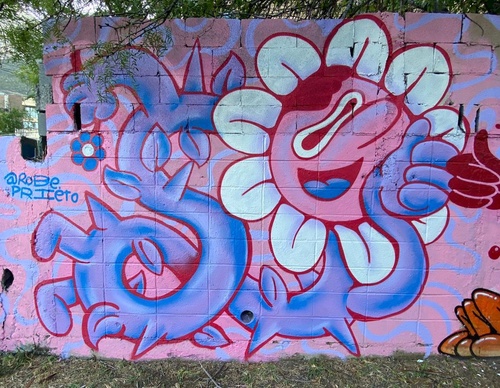 Gallery Of Street Art By Peemouh - Mexico