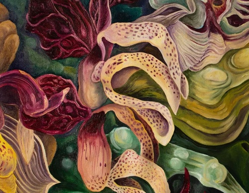 Gallery Of Painting By Alicia Nakatsuka - Argentina