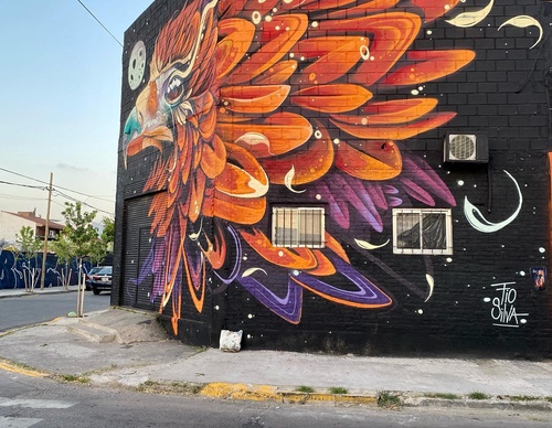 Gallery Of Street Art By Fio Silva - Argentina