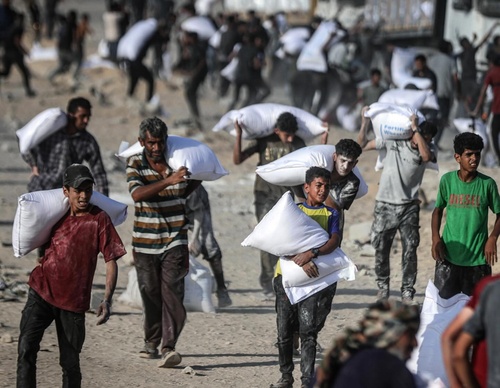 ali jadallah gaza