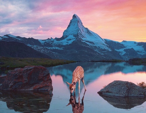 Gallery Of Photography By Robert Jahns - Germany