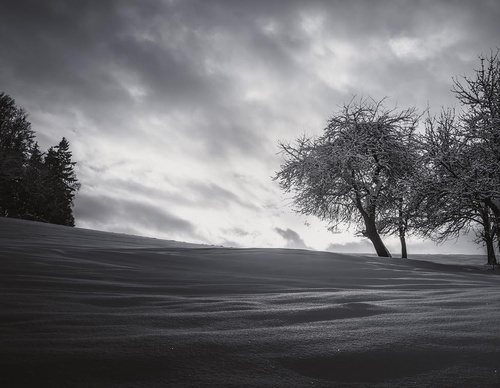 Galería de fotografías de Pujan Shadlau - Austria