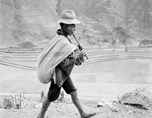werner bischof