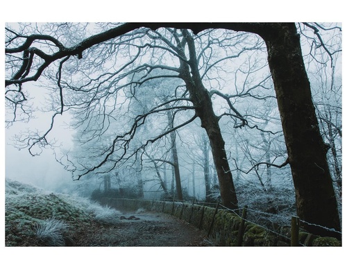 Gallery Of Photography By Daniel Casson - England