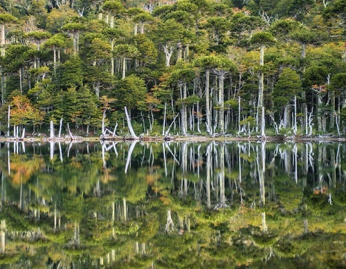 Gallery Of Photography By Fernando Gudenschwager - Chile