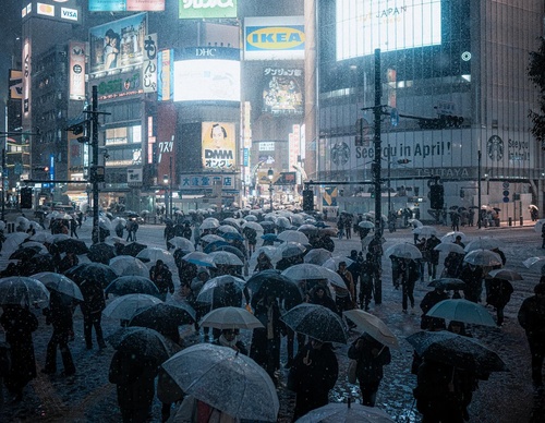 Gallery Of Photography By Junya Watanabe - Japan