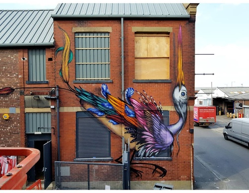 Gallery Of Street Art By Bailon - Brazil