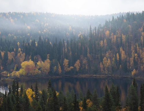 Gallery Of Photography By Elias Kalliola - USA