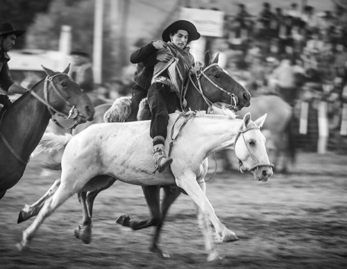 Galería de fotografía de Patricio Rodríguez - Argentina
