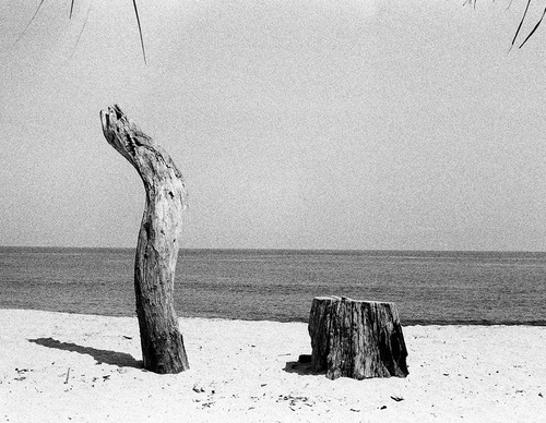 Galería De Fotografía De Santiago Ces - Argentina