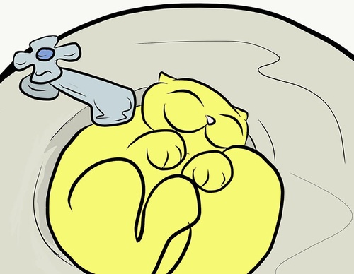 claudia stella resende