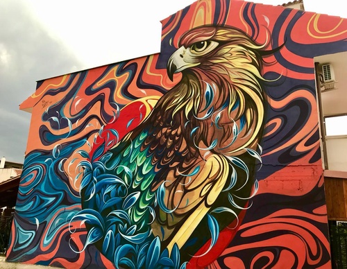 Gallery Of Street Art By Fio Silva - Argentina