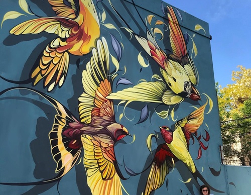 Gallery Of Street Art By Fio Silva - Argentina