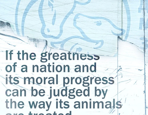 blank poster animal
