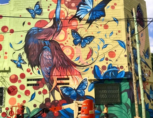 Gallery Of Street Art By Fio Silva - Argentina