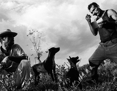 raul canibano