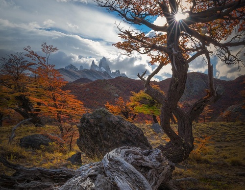 Galería de fotografía de Greg Boratyn - Argentina