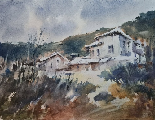 gonzalo vargas