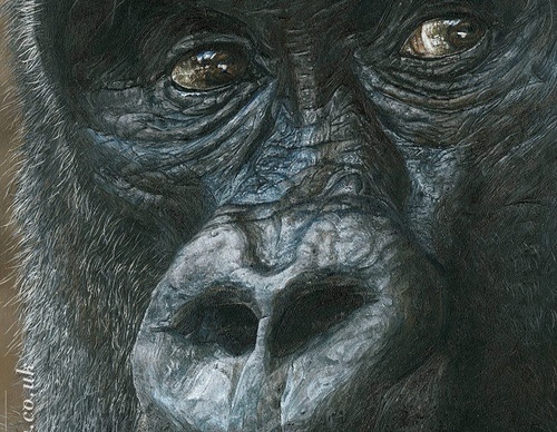Galería de pintura realista de Annie Drew - Reino Unido