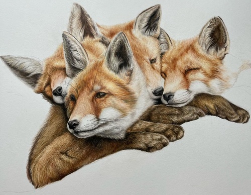 Galería de pintura realista de Cole McNair - EE. UU.