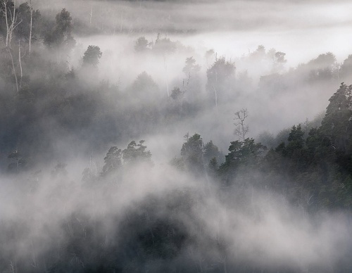 Gallery Of Photography By Rodrigo Viveros - Chile