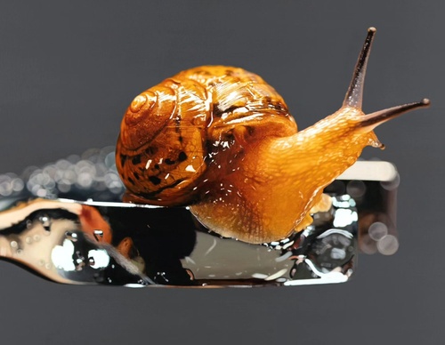 Gallery Of Realistic Painting By Young-sung Kim - South Korea
