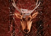 Gallery of Posters, Paintings and Photography by Pascal Colrat – France