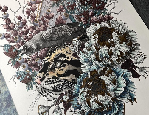 Galería de ilustraciones de Mallarie Bundy - EE. UU.