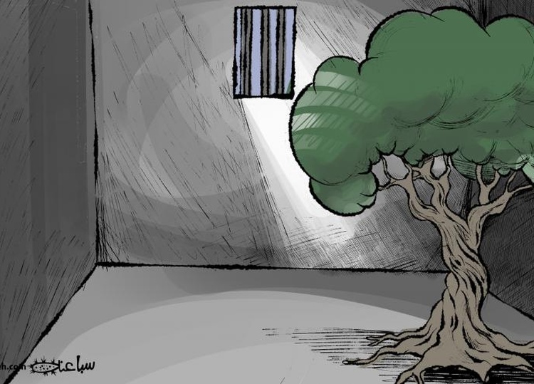 The Palestinian trees