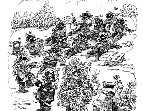 quino 43t