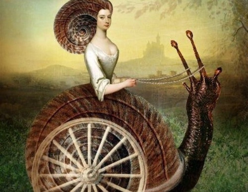 Galeria de ilustrações de Catrin Welz Stein - Alemanha