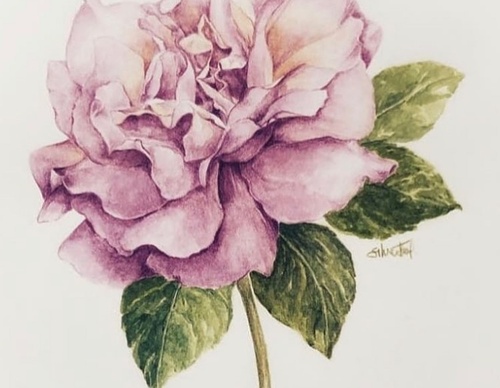Galeria de Pintura de Silvia Trad - Portuguesa