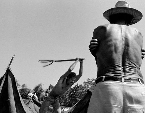 raul canibano