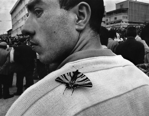 nikos economopoulos