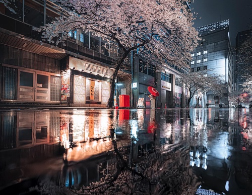 Gallery Of Photography By Junya Watanabe - Japan