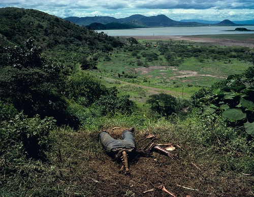 susan meiselas