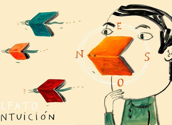 isol misenta