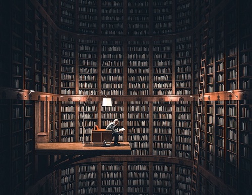 Galeria de ilustrações de Nemanja Sekulic - Educadora
