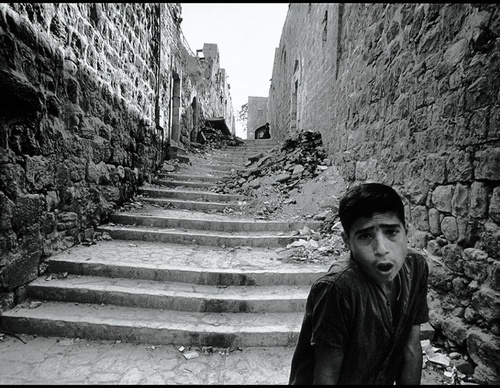 leonard freed
