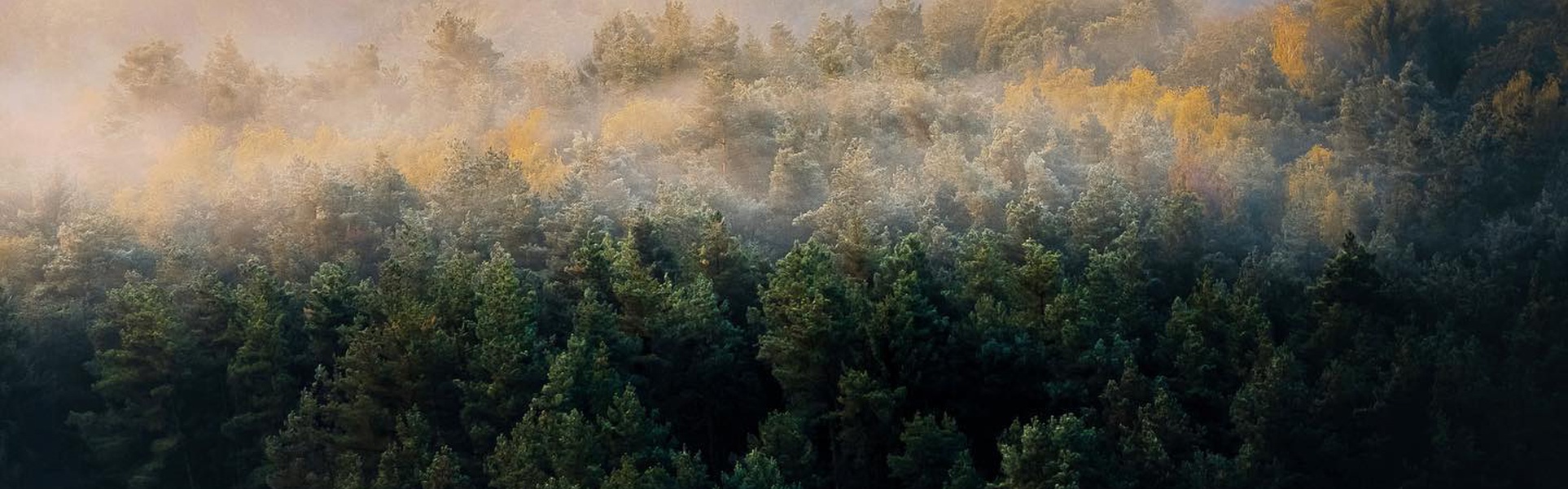 Galería de fotografías de Jan Pallmer - Alemania