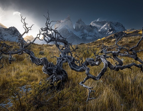 Gallery Of Photography By Jaime Garcés - Chile