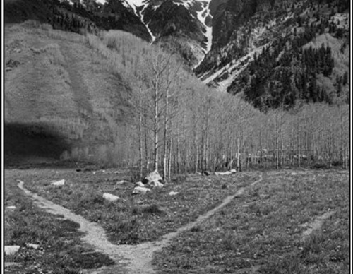 martine franck