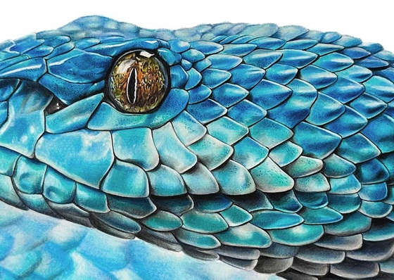 Gallery Of Realistic Painting By Rebecca Neundorf - Germany
