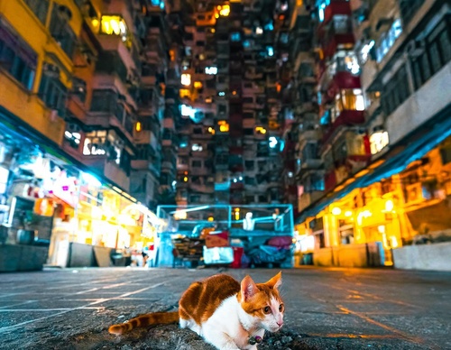 Gallery Of Photography By Jacky Woo - China