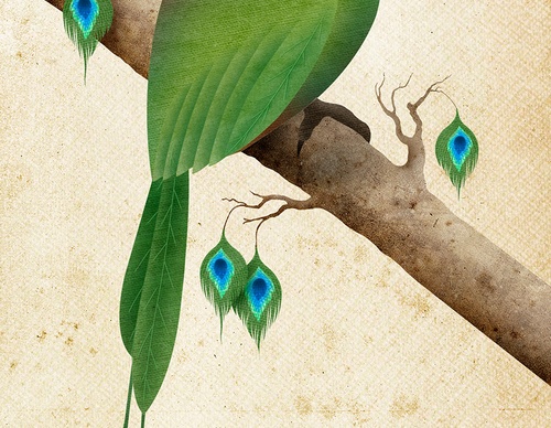 Gallery Of Illustration By Vlad Alvarez-El Salvador