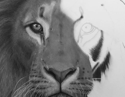 Gallery Of Realistic Painting By Emma Towers Evans - Brazil