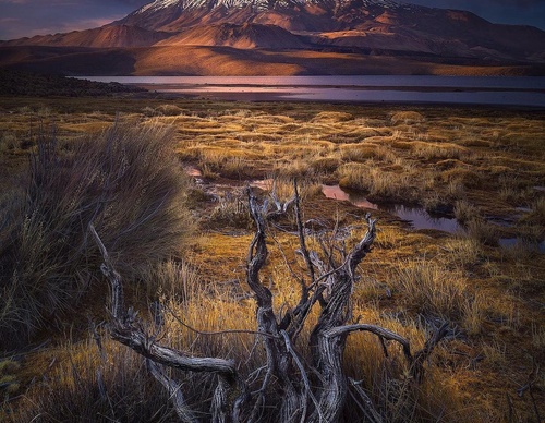 Gallery Of Photography By Isabella Tabacchi - Chile