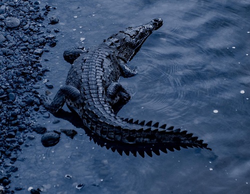 Gallery Of Photography By Chris Henry - USA