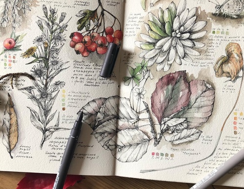 Gallery of Drawing by GiacoMina Ferrillo-Italy