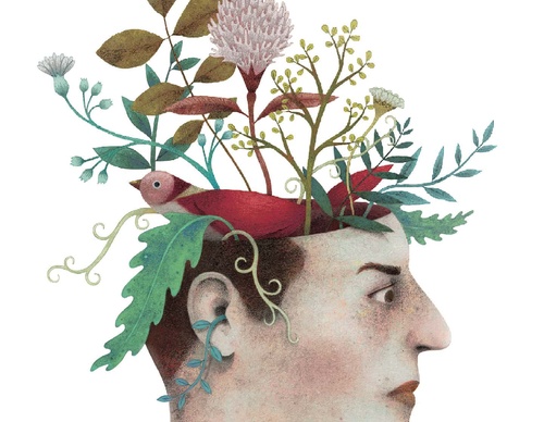 Galeria de ilustrações de Alefes Silva-Colômbia